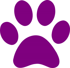 purple-paw-print-hi
