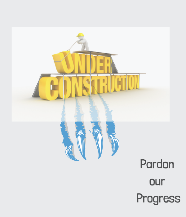 Under Construction Pardon our Progress